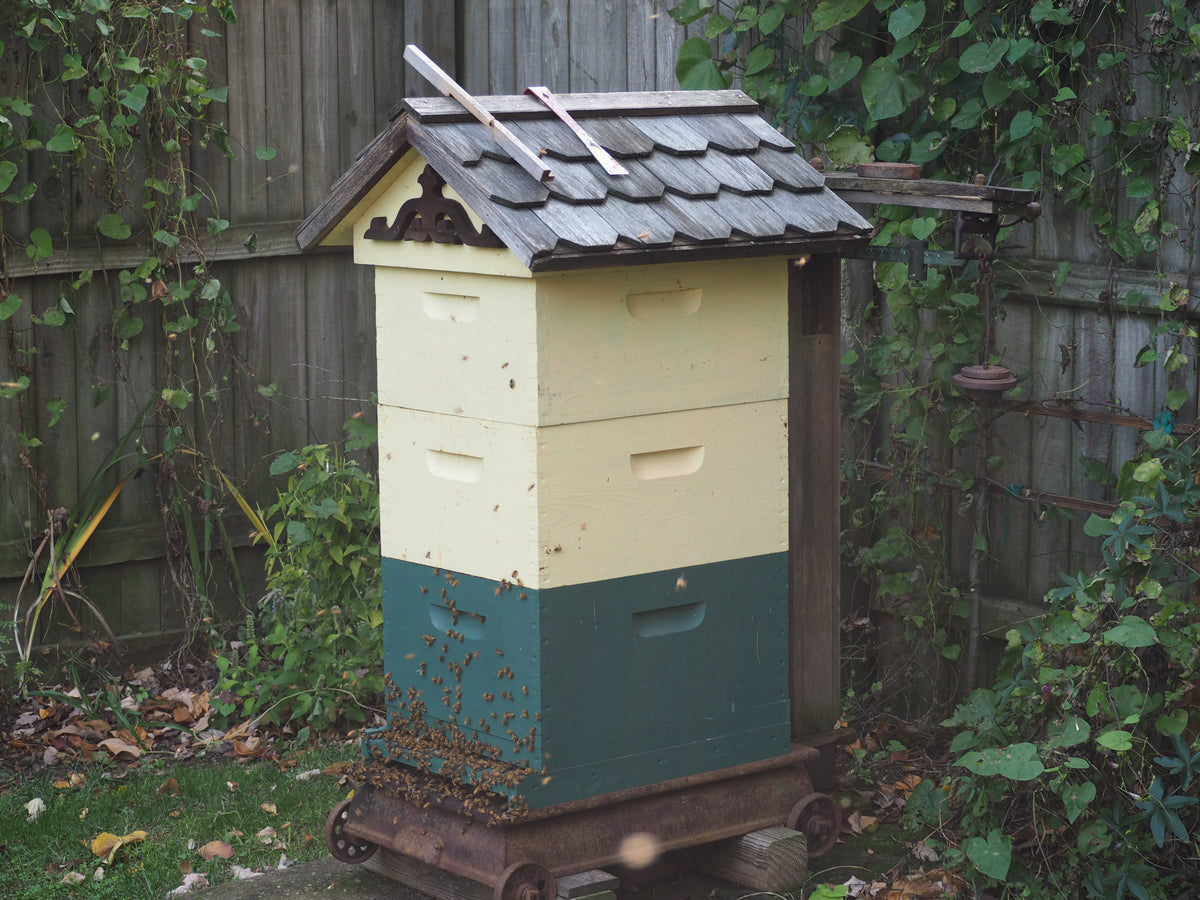 Woodenware My Bee Supply LLC