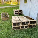 Italian Package Bees 3lbs April 3, 2026