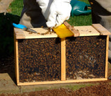 Package Bees. 3 pounds, April 21, 2024 arrival MARKED QUEEN  ***Preorder Sale thru December 31st***