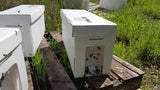 Nucs For Sale May 2024