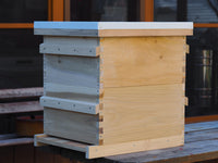 8 Frame Hive Complete