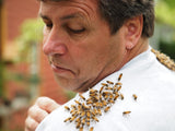 Beekeeper and Beehive Rental